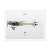 Etrich Taube - Rolled Poster