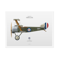 Sopwith Triplane - Rolled Poster