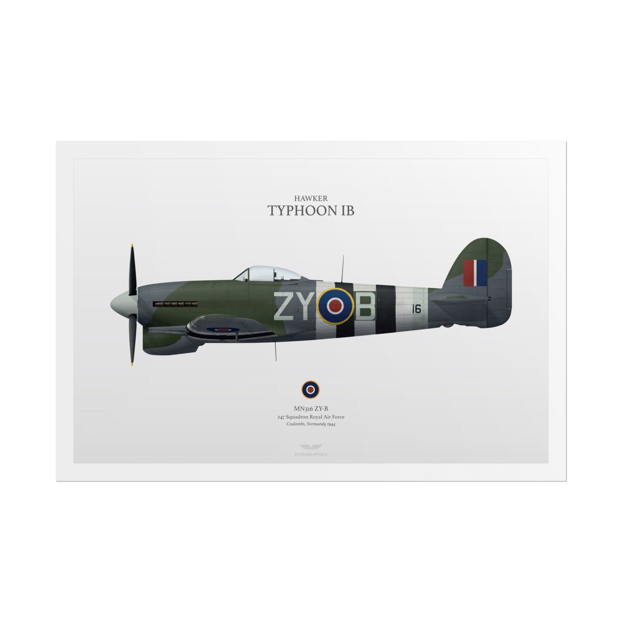 Hawker Typhoon IB -  Rolled Poster