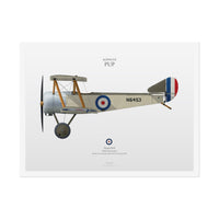 Sopwith Pup -  Rolled Poster