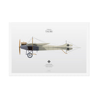 Thumbnail for Etrich Taube -  Rolled Poster