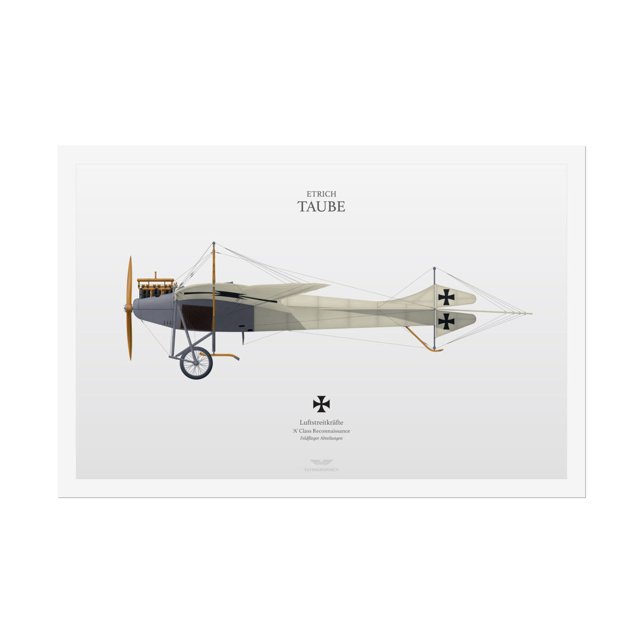 Etrich Taube -  Rolled Poster