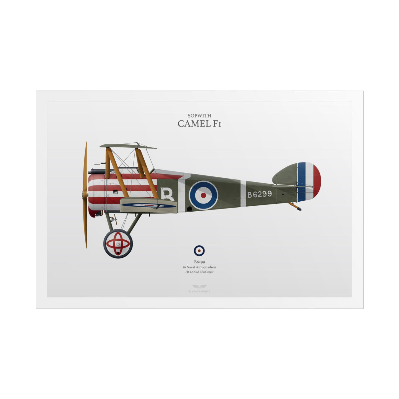 Sopwith Camel F1 -  Rolled Poster