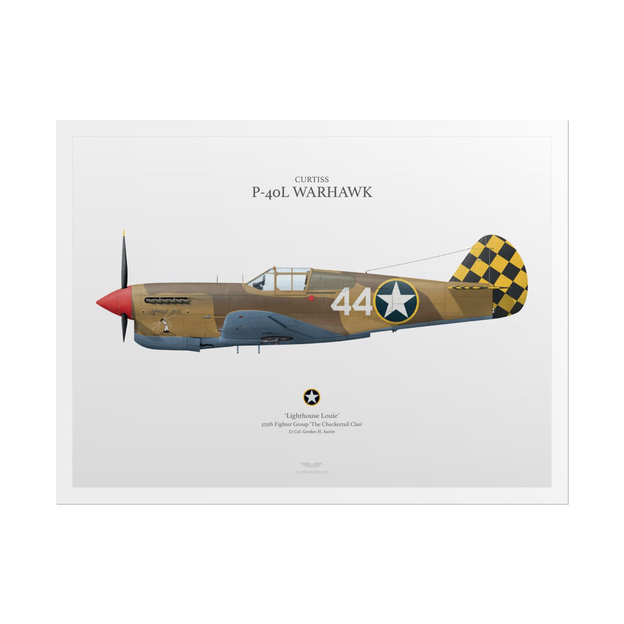 P-40L Warhawk -  Rolled Poster