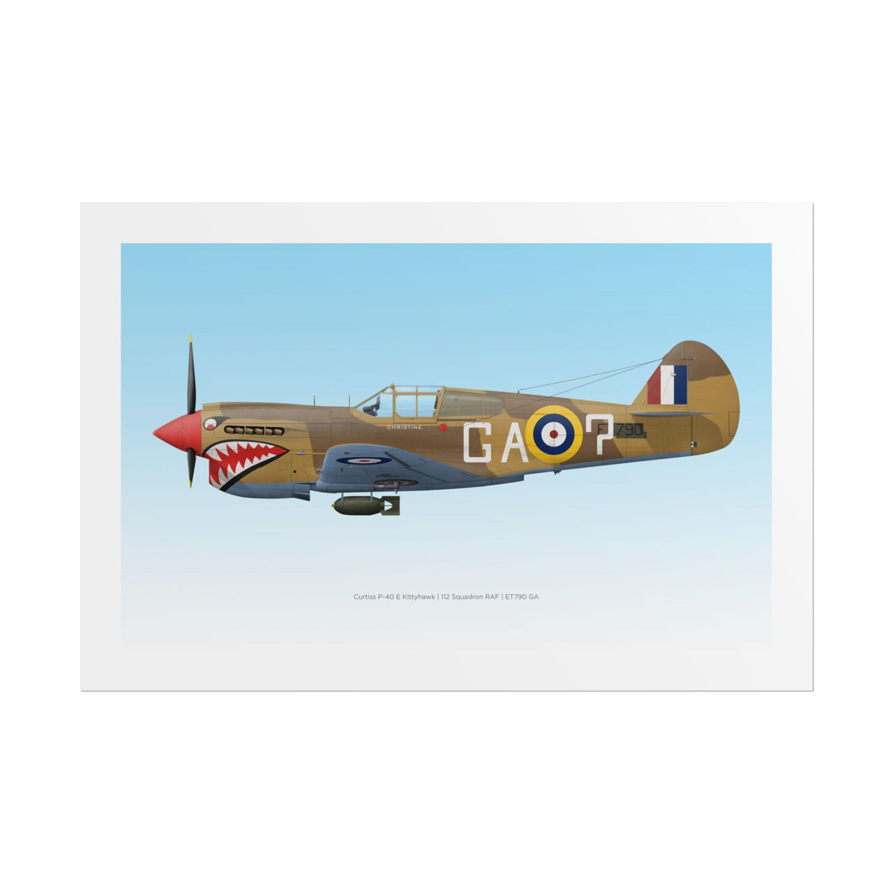 P-40 Kittyhawk -  Rolled Poster