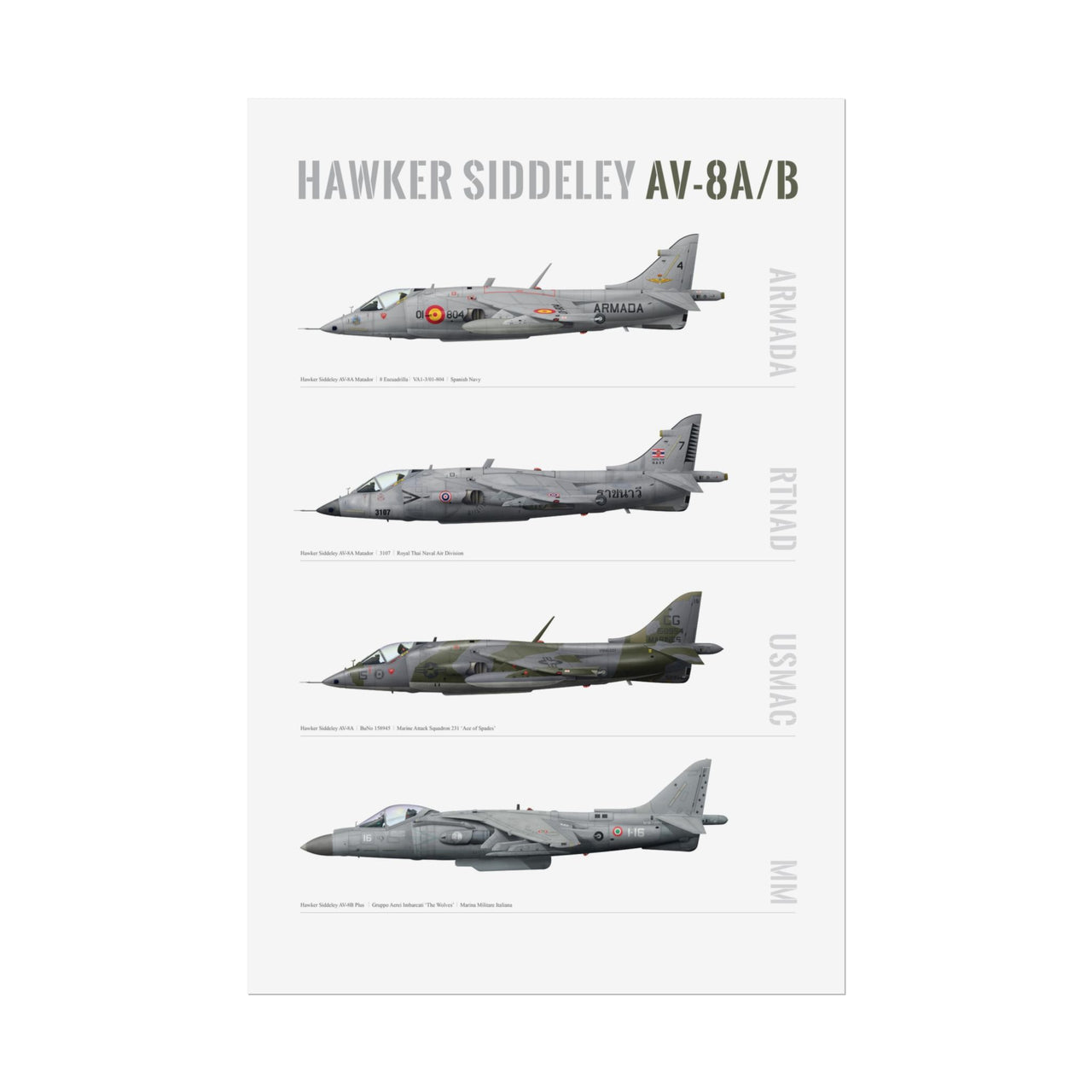 AV8A Profiles -  Rolled Poster