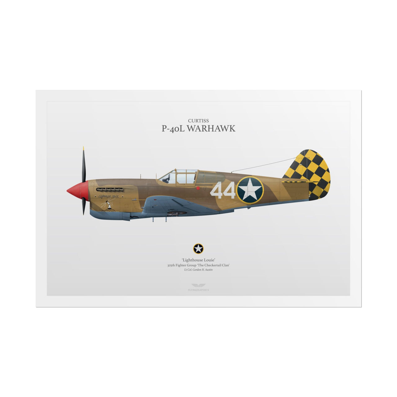 P-40L Warhawk -  Rolled Poster