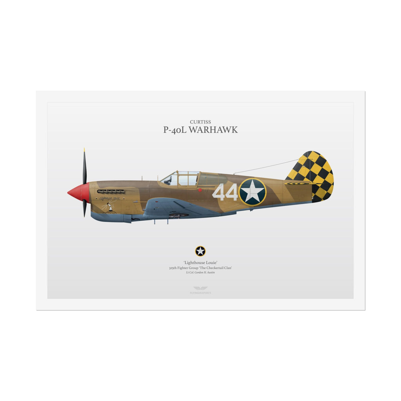 P-40L Warhawk -  Rolled Poster