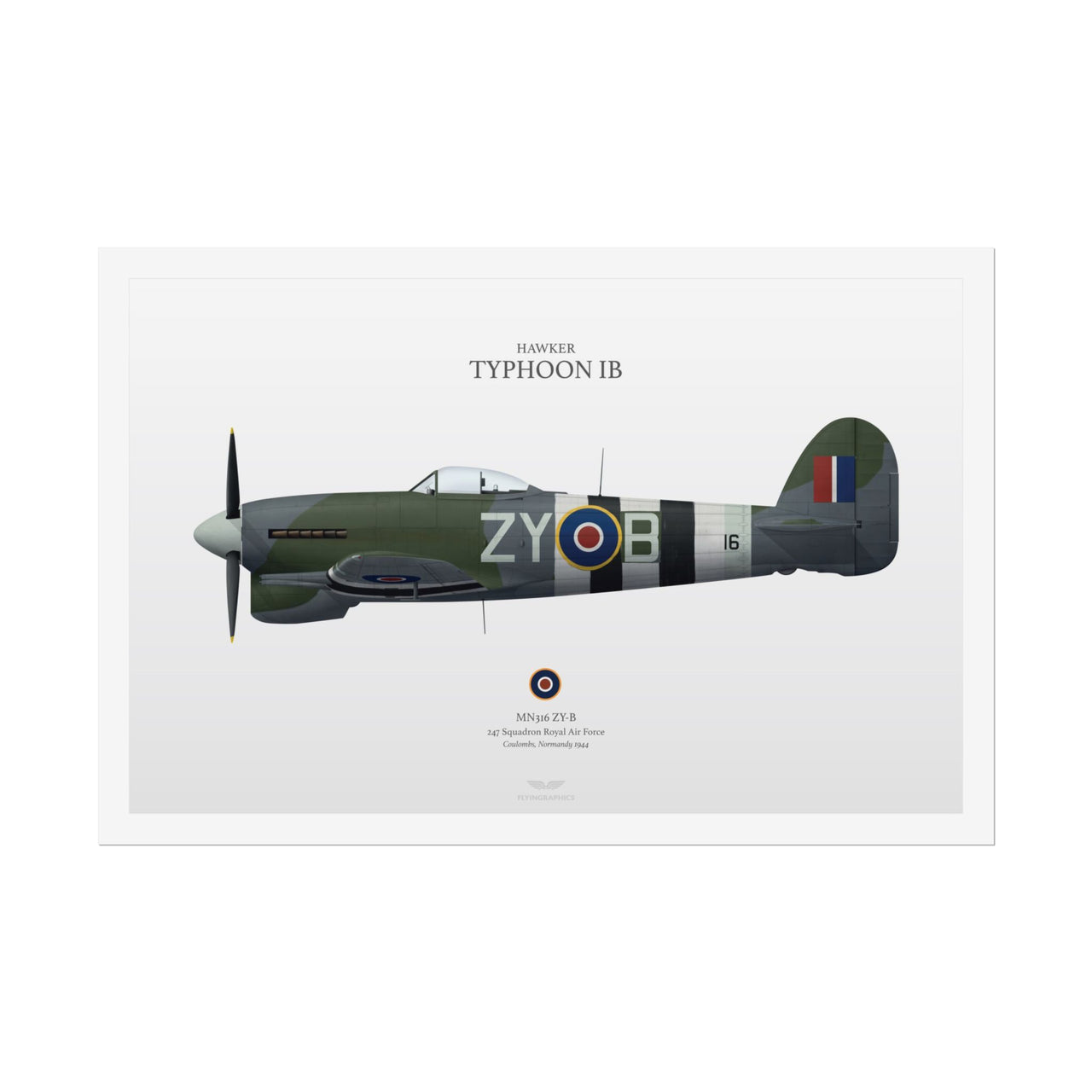 Hawker Typhoon IB -  Rolled Poster