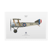 Thumbnail for Sopwith Pup -  Rolled Poster
