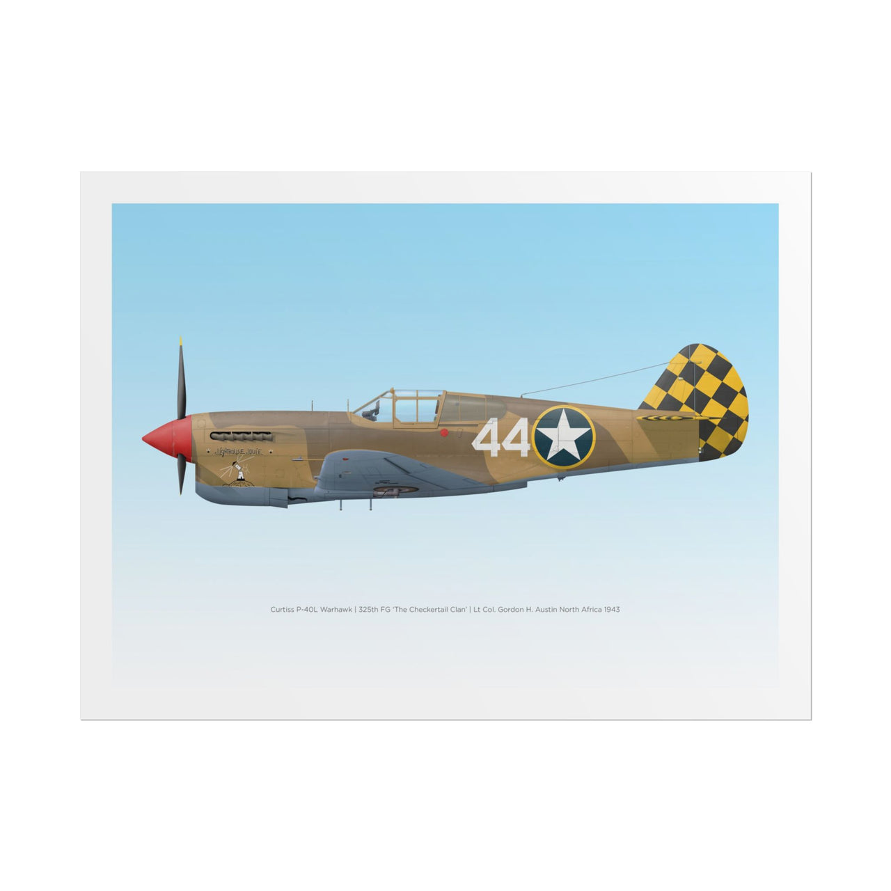 P-40 Warhawk -  Rolled Poster