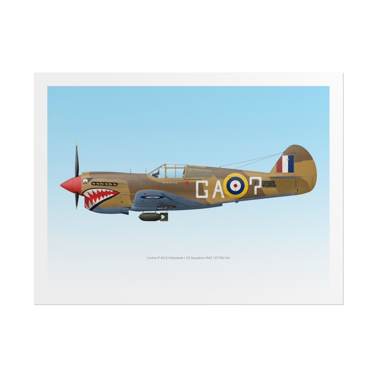 P-40 Kittyhawk -  Rolled Poster