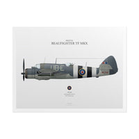 Thumbnail for Beaufighter TF MKX -  Rolled Poster