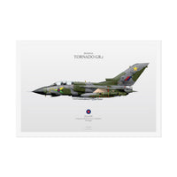 Thumbnail for Tornado GR.1 -  Rolled Poster