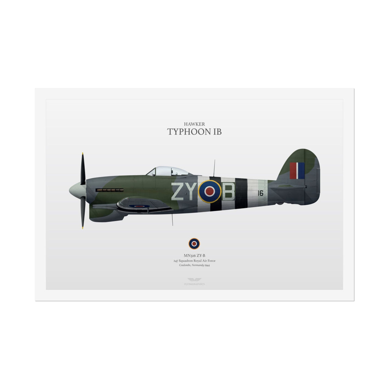 Hawker Typhoon IB -  Rolled Poster