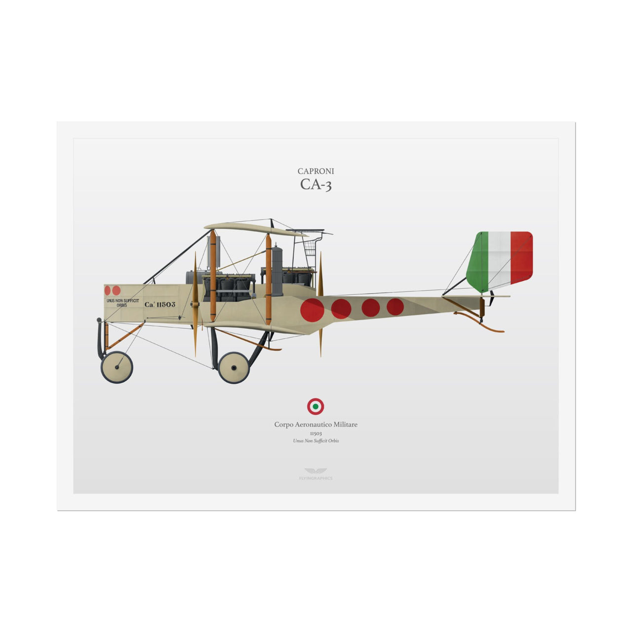 Caproni CA-3 -  Rolled Poster