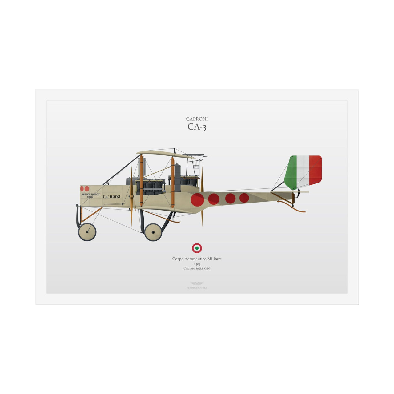 Caproni CA-3 -  Rolled Poster