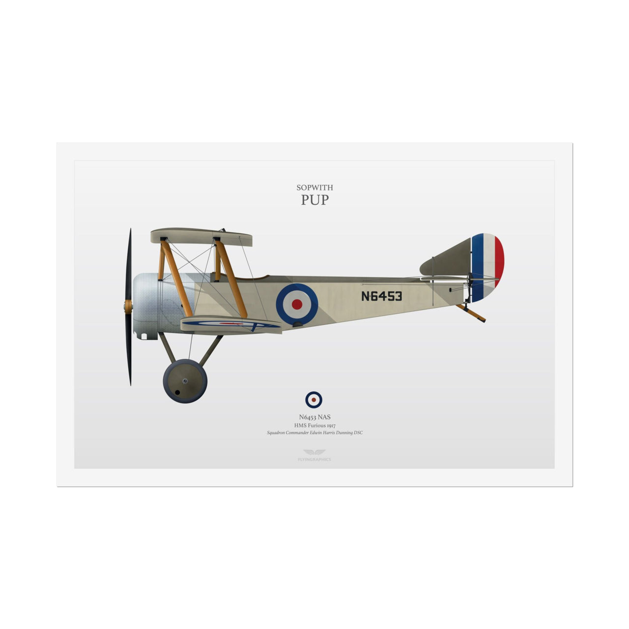 Sopwith Pup -  Rolled Poster