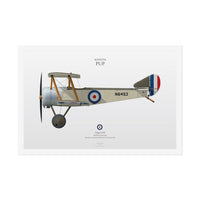 Thumbnail for Sopwith Pup -  Rolled Poster