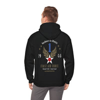 Thumbnail for First Air Force - Hoodie