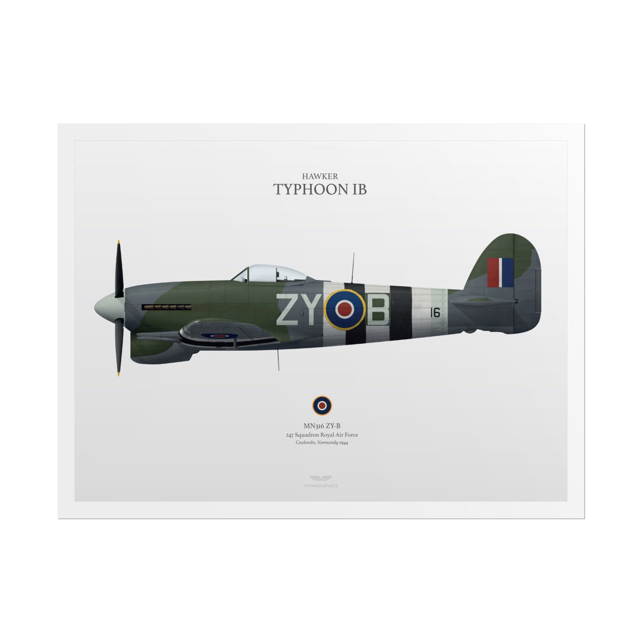Hawker Typhoon IB -  Rolled Poster