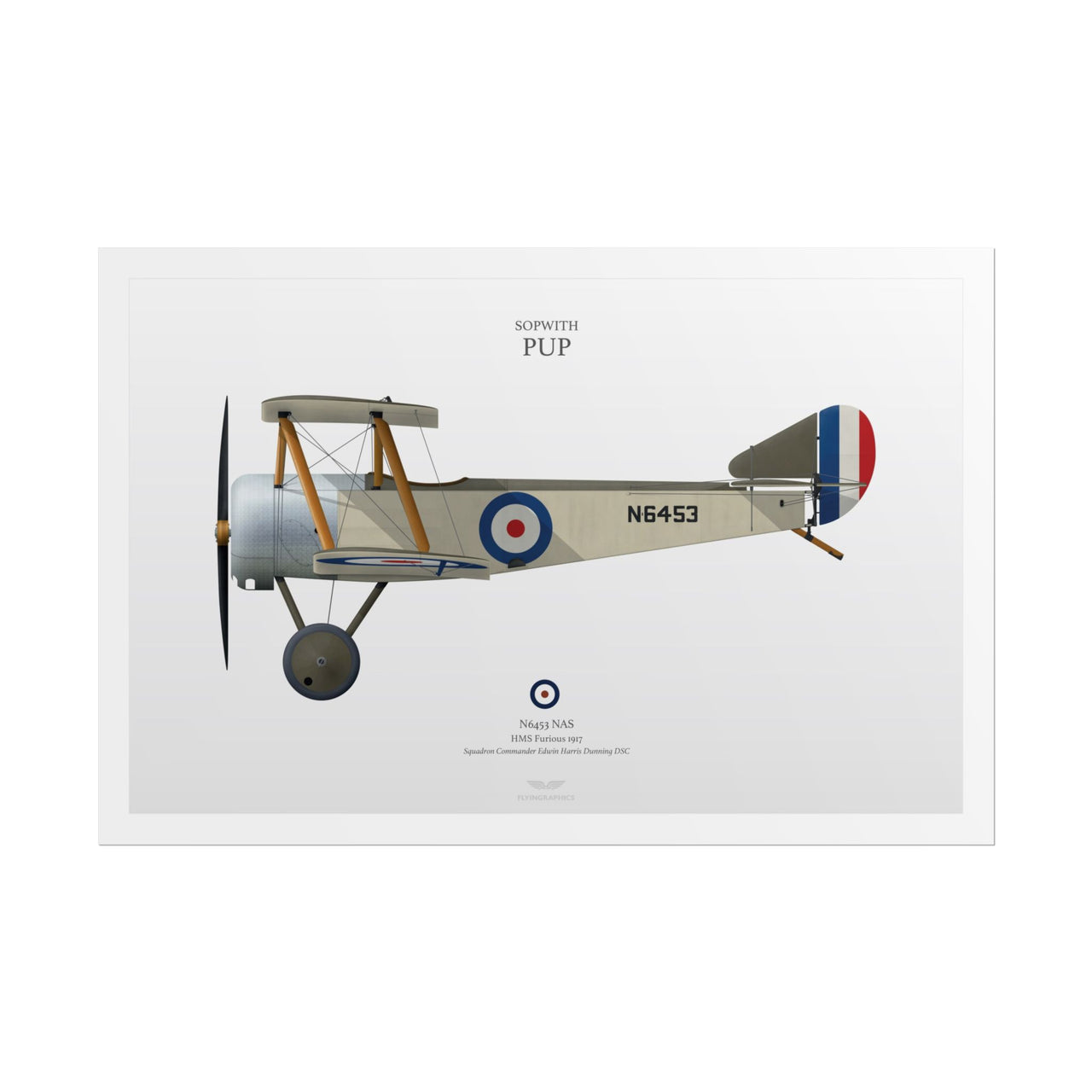 Sopwith Pup -  Rolled Poster