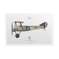 Thumbnail for Sopwith Pup -  Rolled Poster