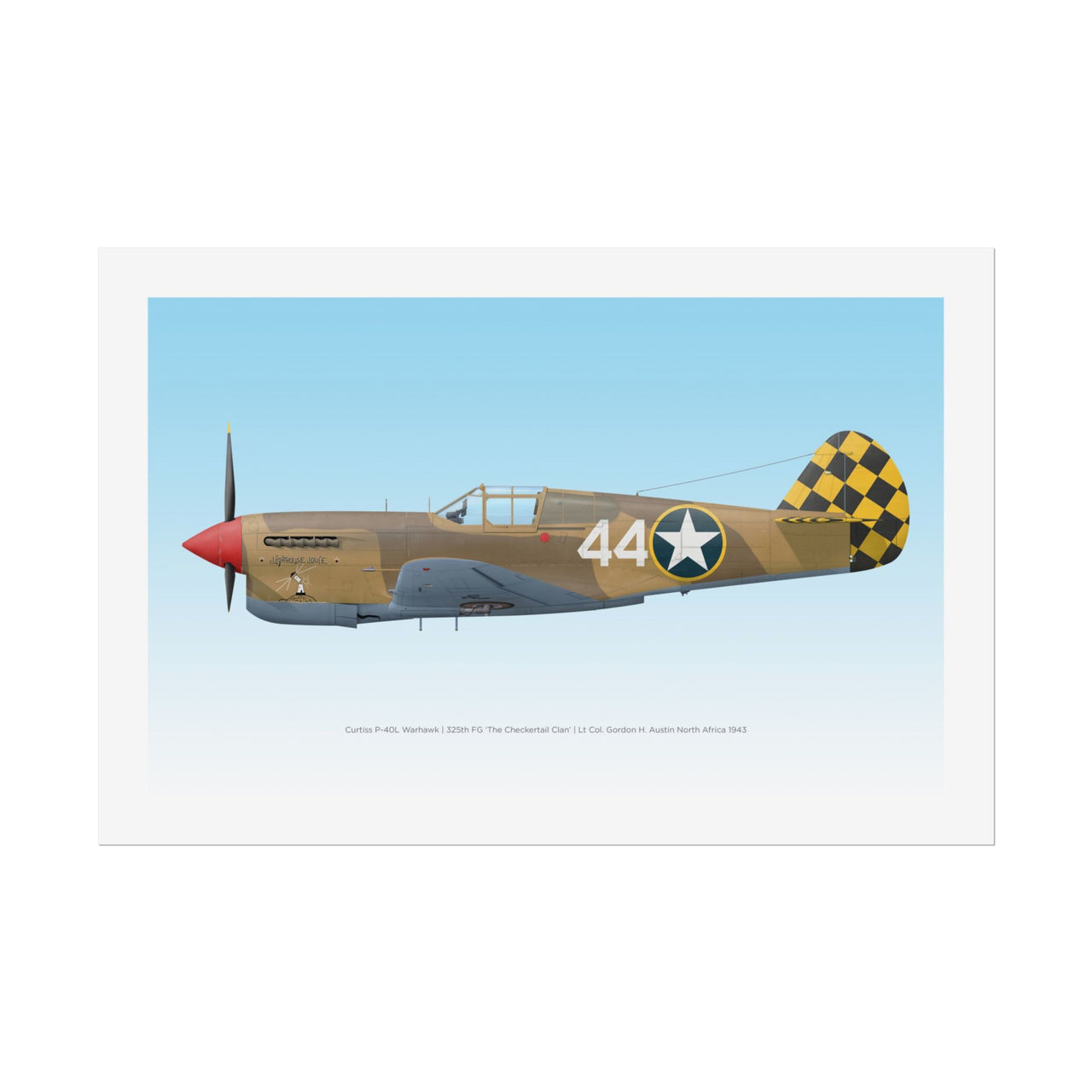 P-40 Warhawk -  Rolled Poster