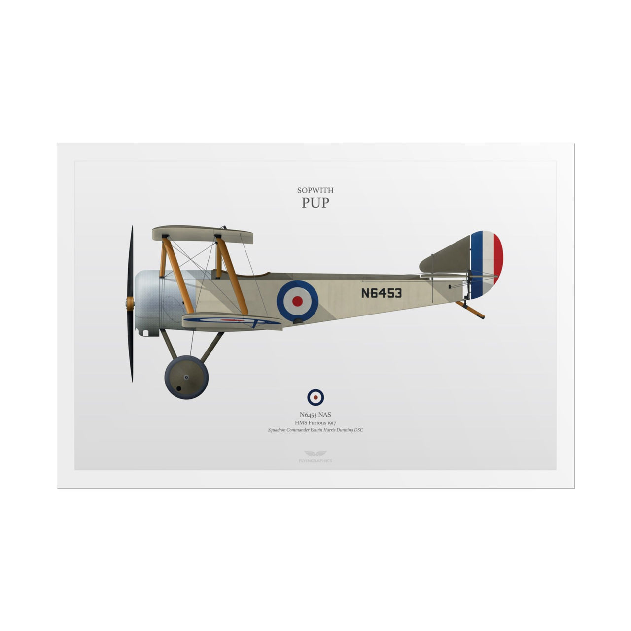 Sopwith Pup -  Rolled Poster
