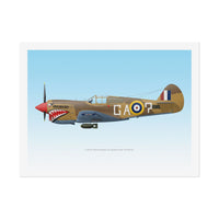 P-40 Kittyhawk -  Rolled Poster