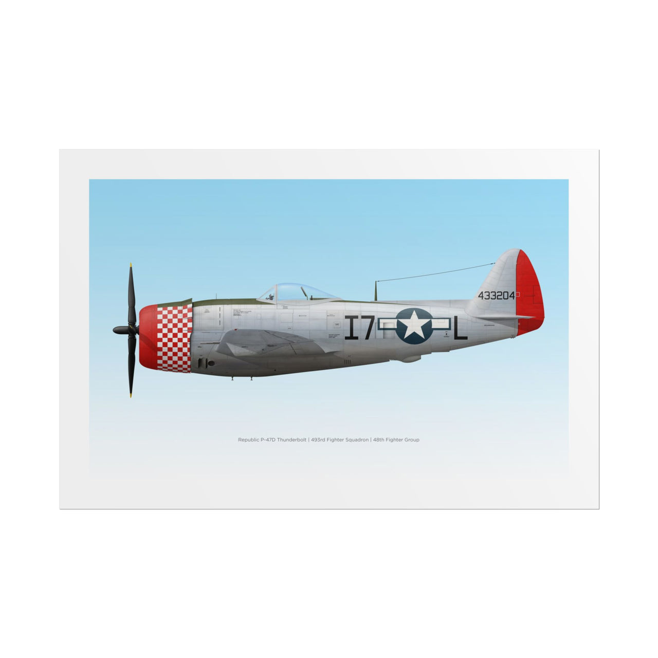 P-47 Thunderbolt -  Rolled Poster