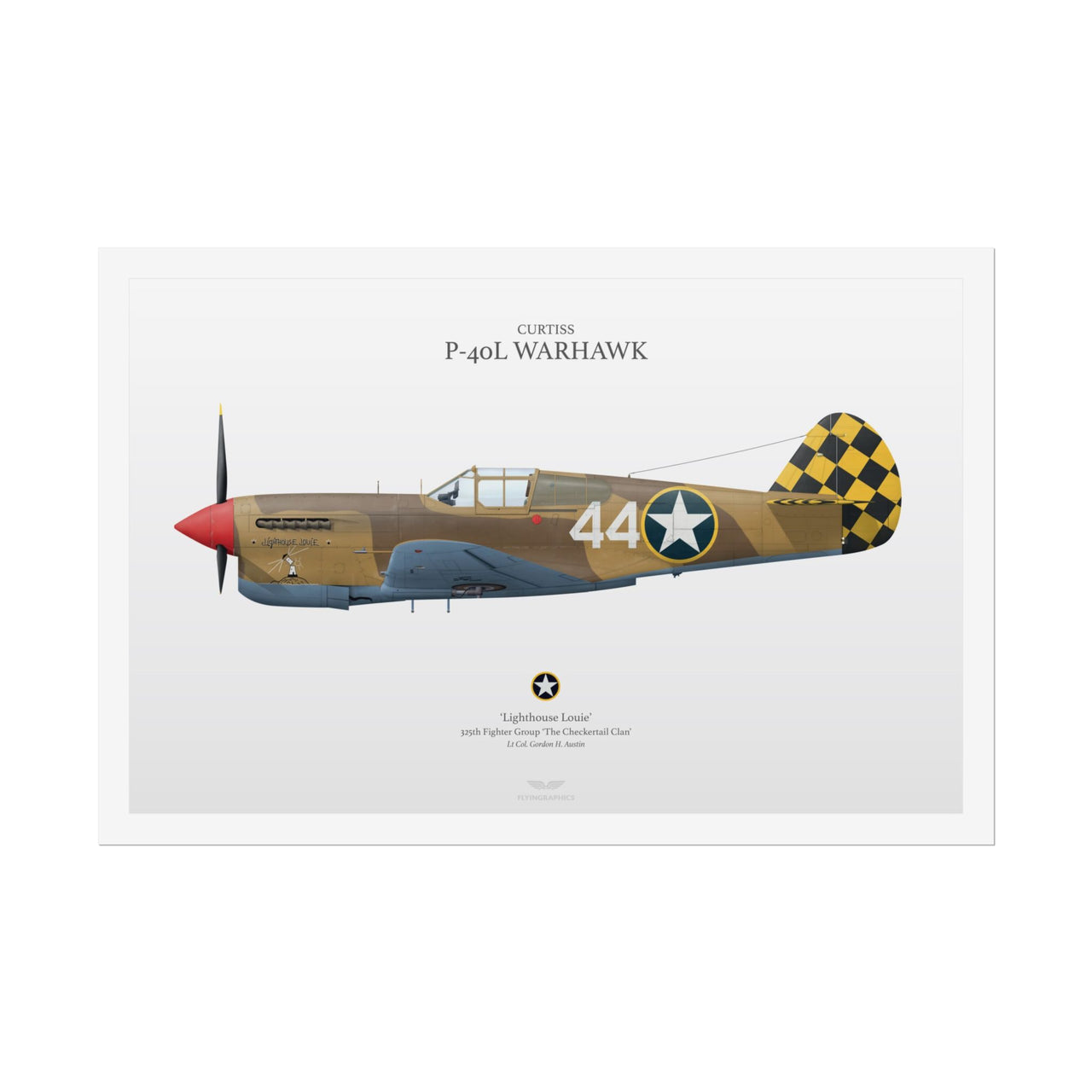 Curtiss P-40L Warhawk -  Rolled Poster