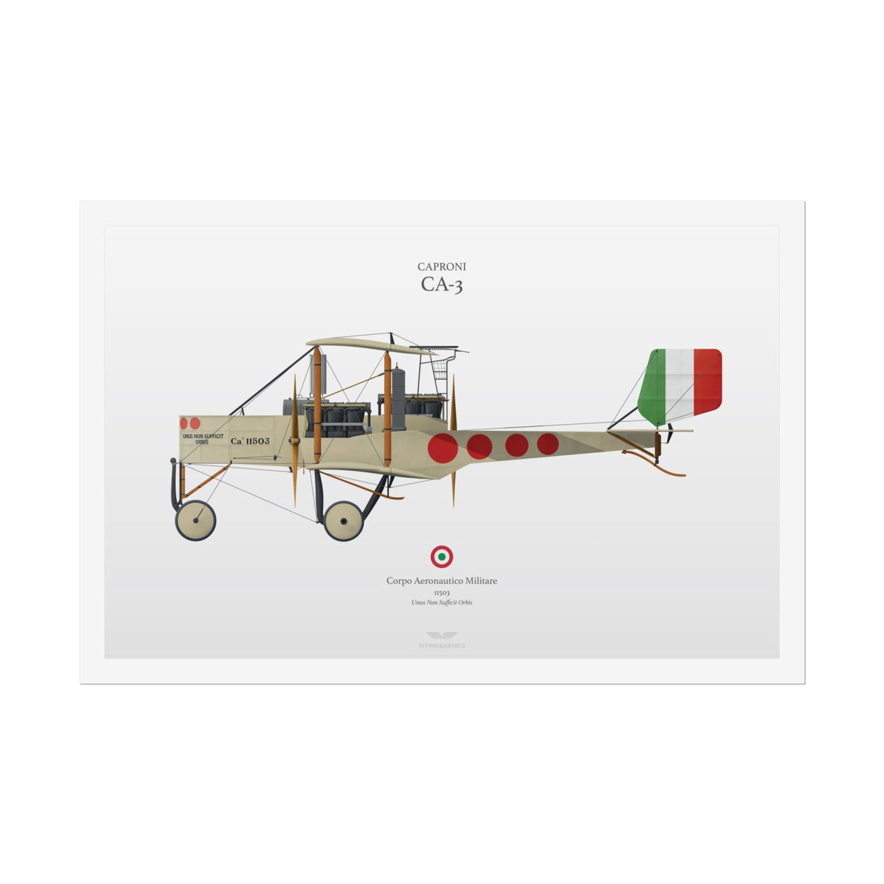 Caproni CA-3 -  Rolled Poster
