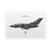 Thumbnail for Tornado GR.1 -  Rolled Poster