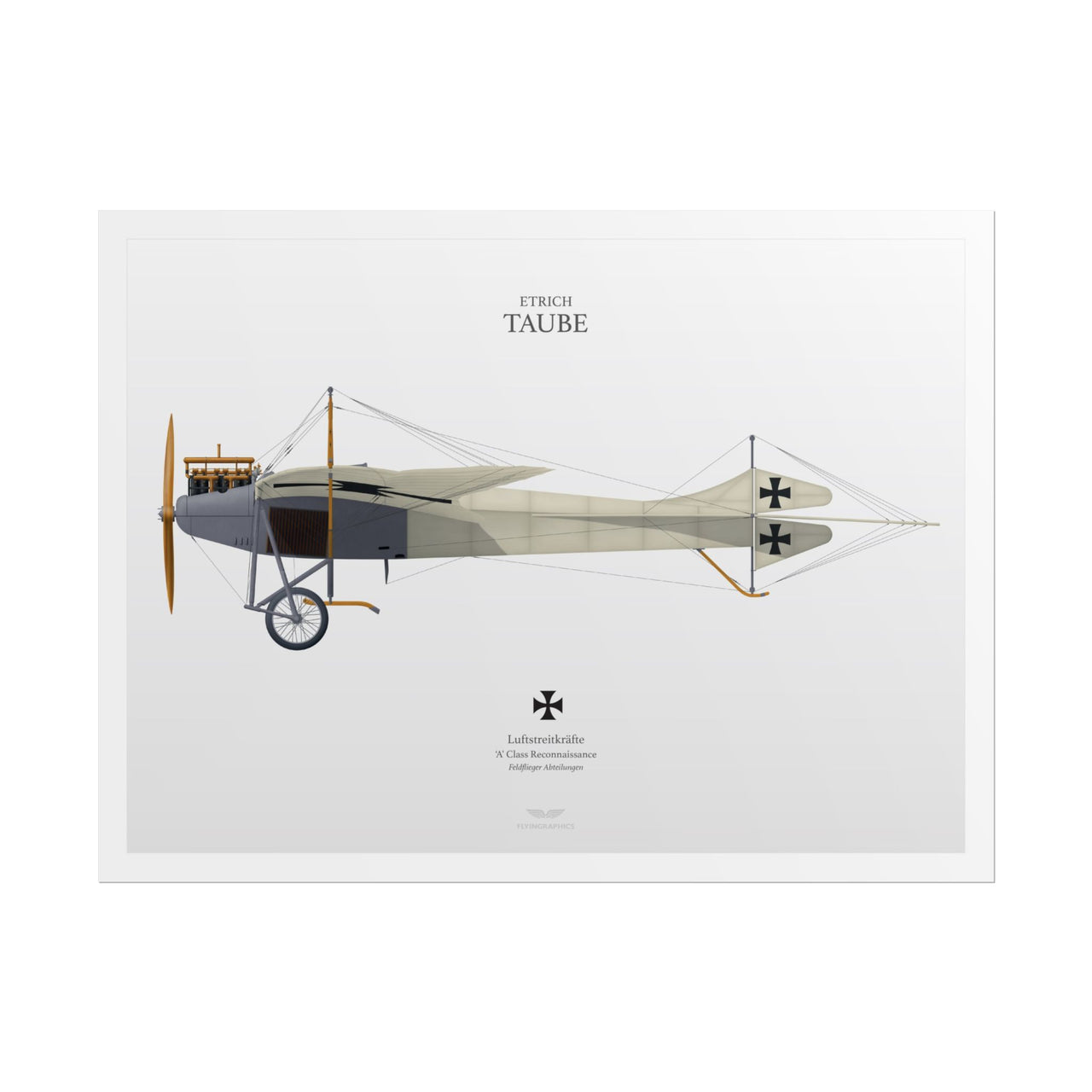 Etrich Taube -  Rolled Poster