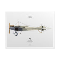 Thumbnail for Etrich Taube -  Rolled Poster