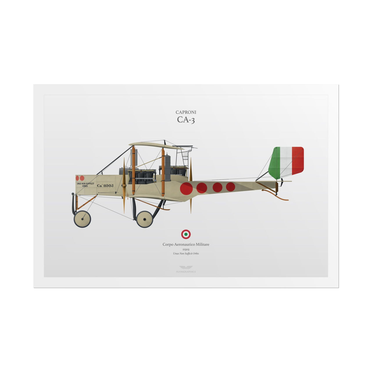 Caproni CA-3 -  Rolled Poster