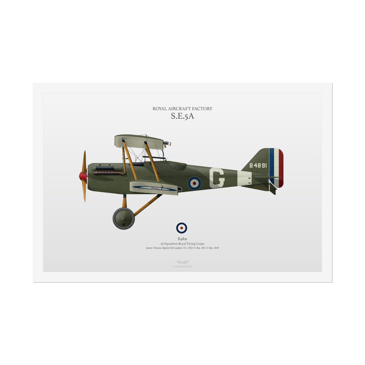 S.E.5A -  Rolled Poster
