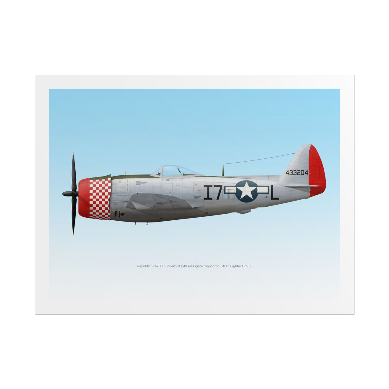 P-47 Thunderbolt -  Rolled Poster