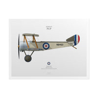 Thumbnail for Sopwith Pup -  Rolled Poster