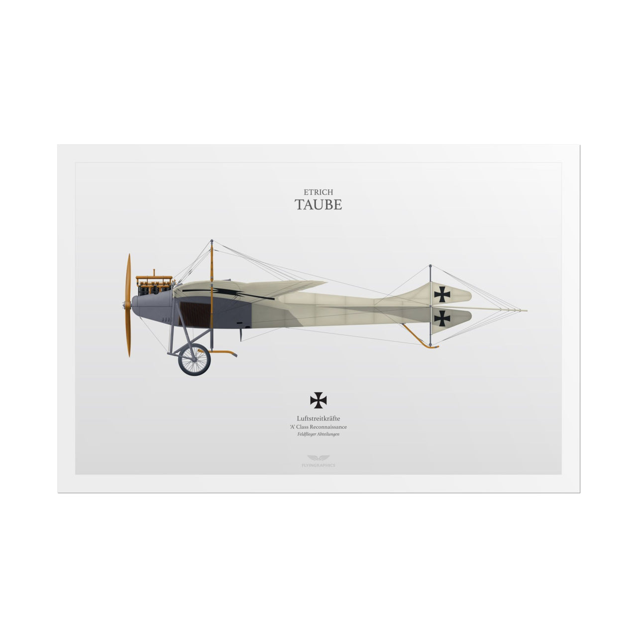 Etrich Taube -  Rolled Poster