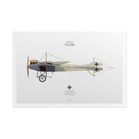 Thumbnail for Etrich Taube -  Rolled Poster