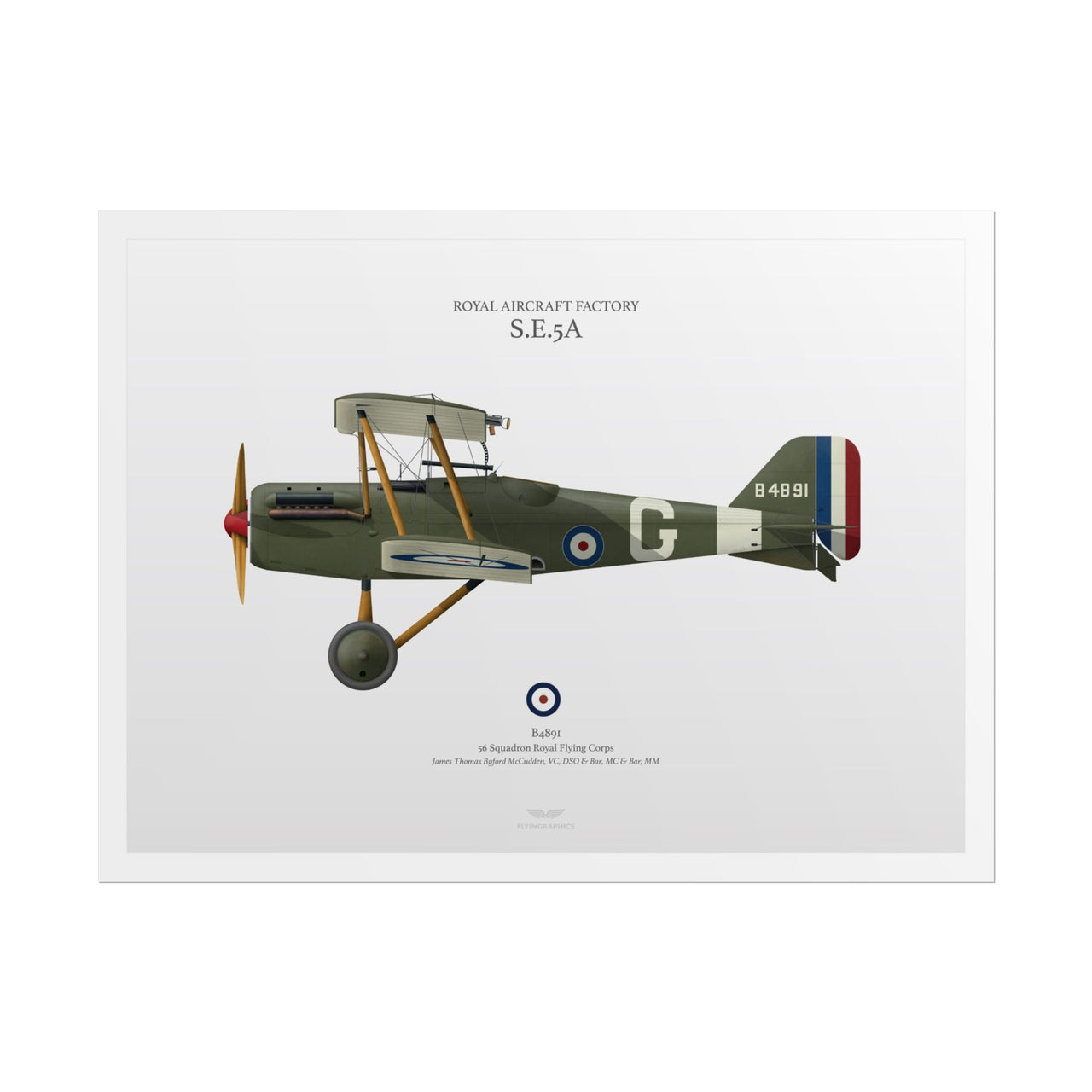 S.E.5A -  Rolled Poster