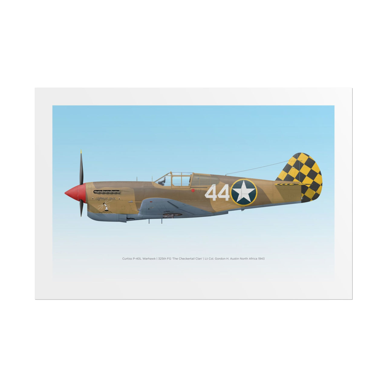 P-40 Warhawk -  Rolled Poster