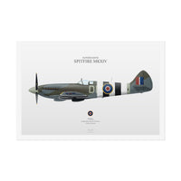 Thumbnail for Spitfire MKXIV -  Rolled Poster