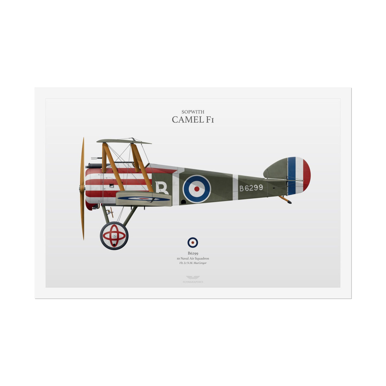 Sopwith Camel F1 -  Rolled Poster