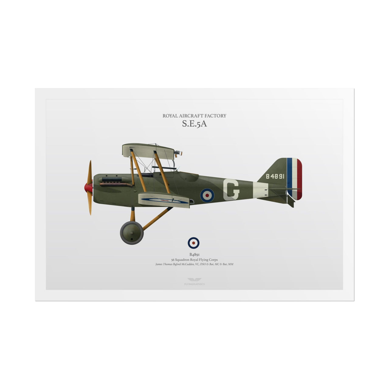 S.E.5A -  Rolled Poster