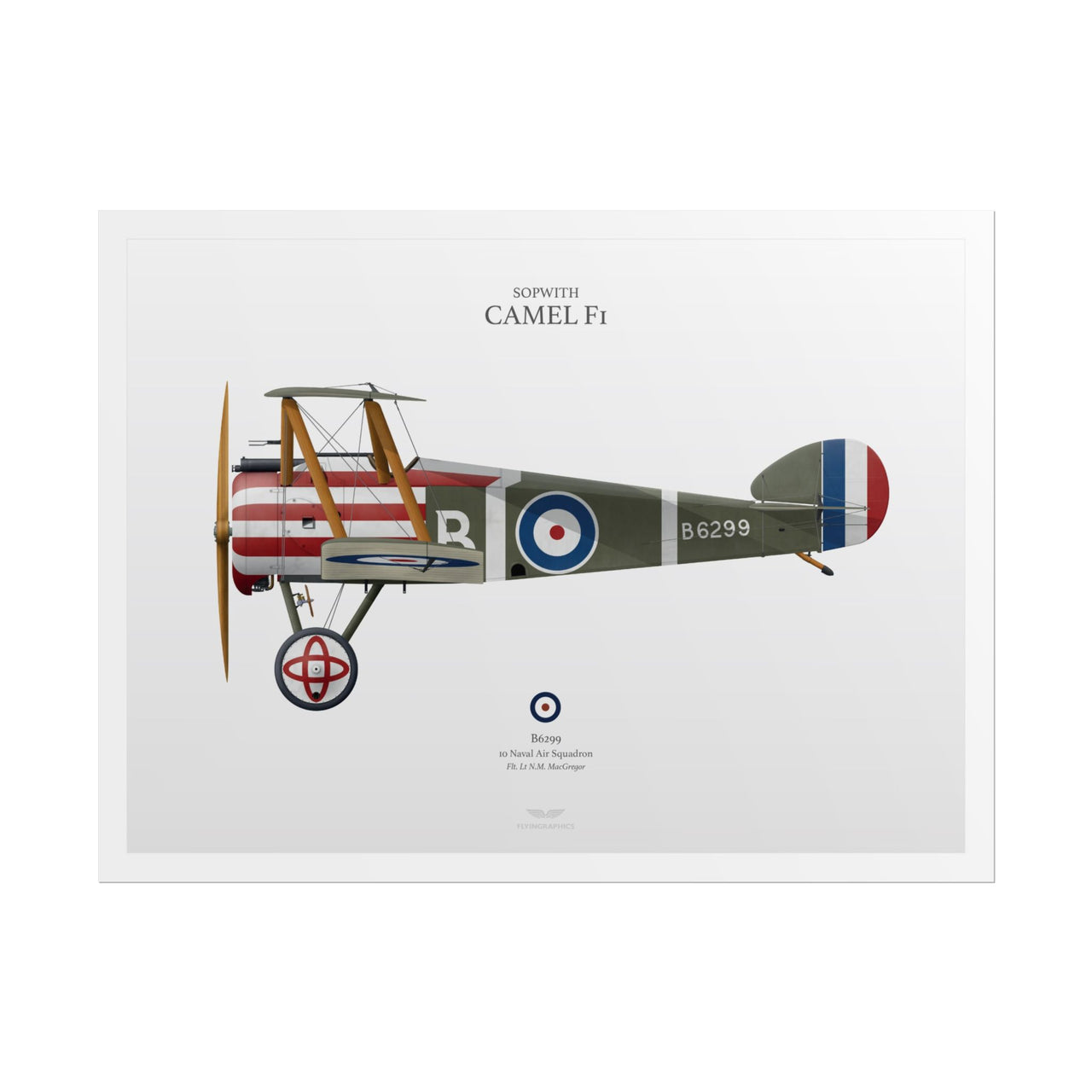 Sopwith Camel F1 -  Rolled Poster